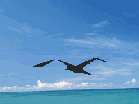 Fireworks����GIF����ͼƬ�̡̳�ͼ��_�¿���